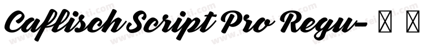 Caflisch Script Pro Regu字体转换